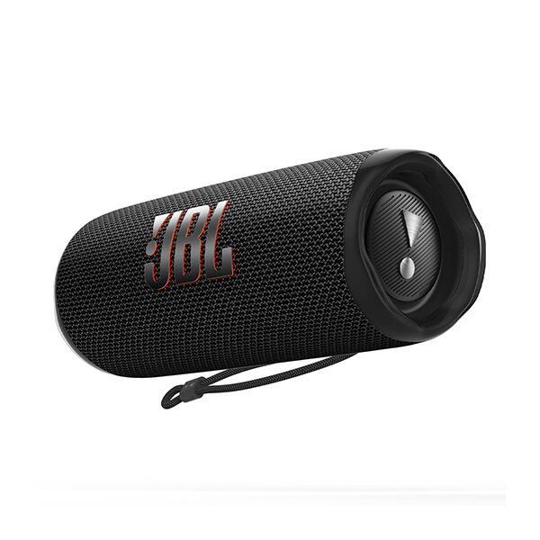 JBL Flip 6